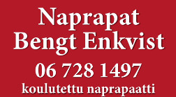 Naprapat Bengt Enkvist logo